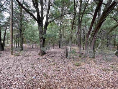 Lot B Warbonnet Road, Salley, SC 29137