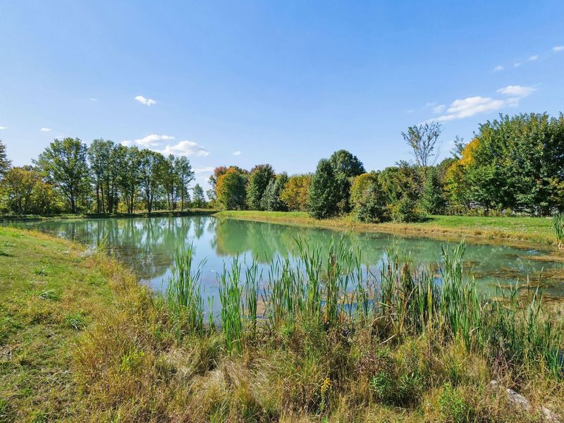 6326 Sparks Drive, Galena, OH 43021 Photo 79