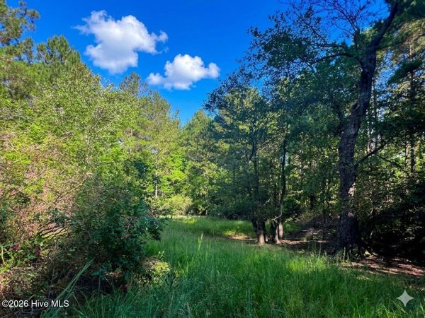 0 White Oak River Road , Maysville, NC 28555