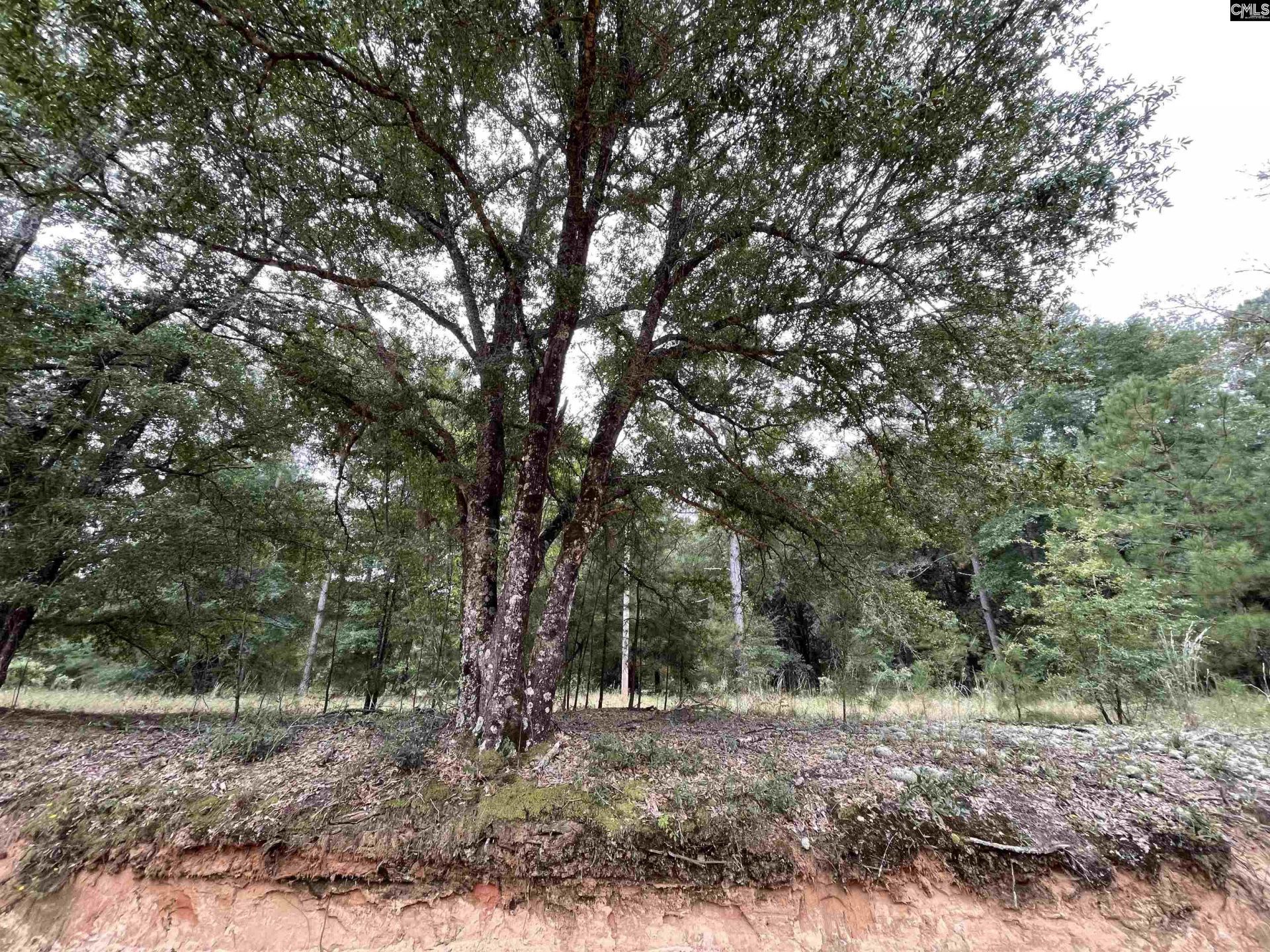 Lot D Warbonnet Road Photo 4