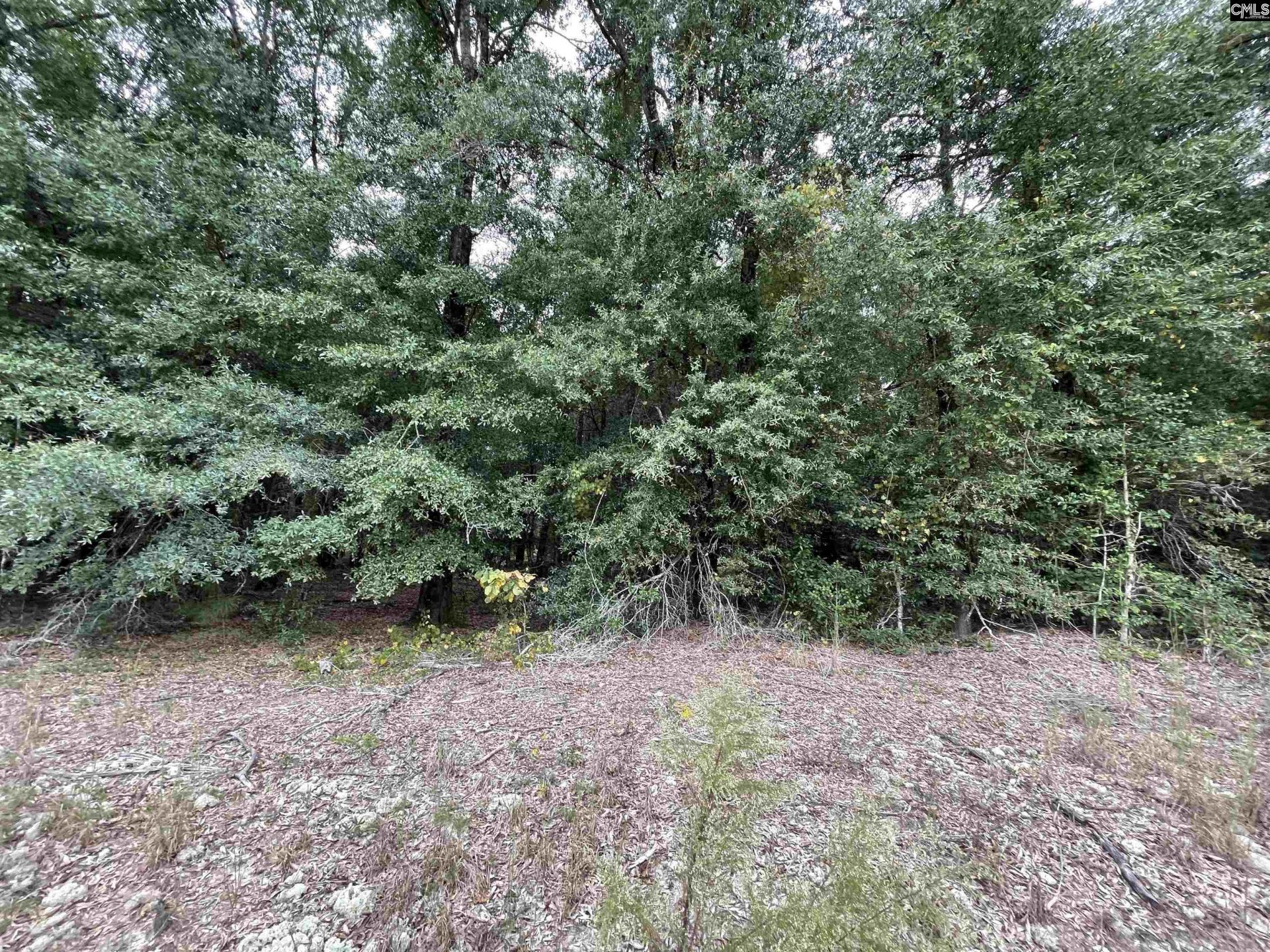 Lot F Warbonnet Road Photo 7
