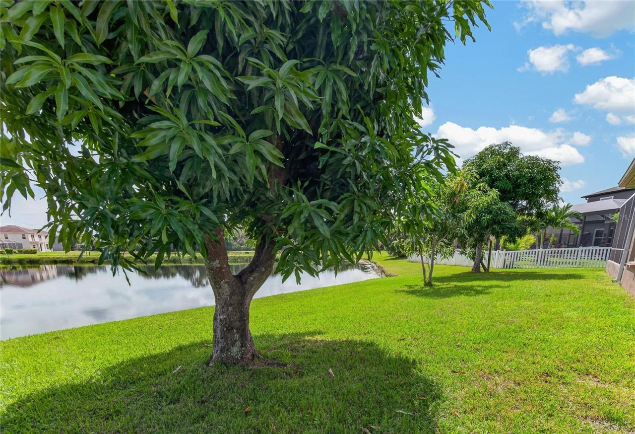 6129 41st Street Street E, Bradenton, FL 34203 Photo