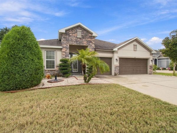 1015 TRACEY ANN LOOP , SEFFNER, FL 33584