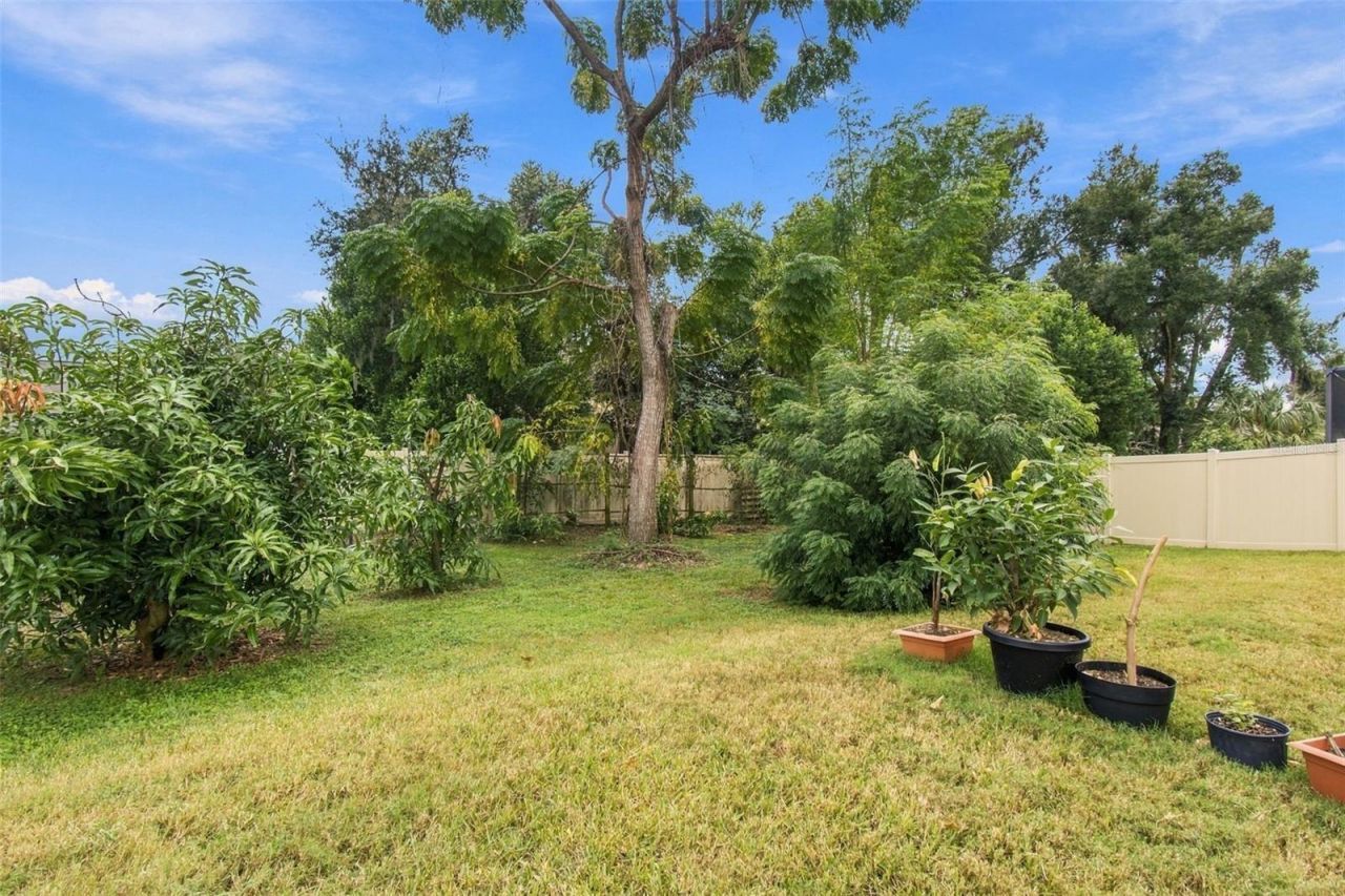 1015 Tracey Ann Loop , Seffner, FL 33584 Photo