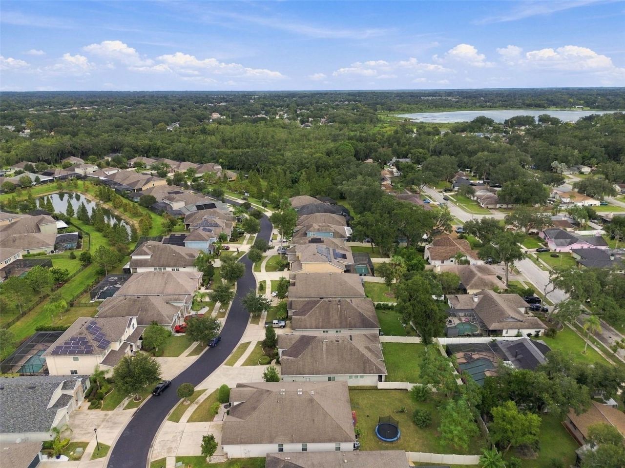 1015 Tracey Ann Loop , Seffner, FL 33584 Photo