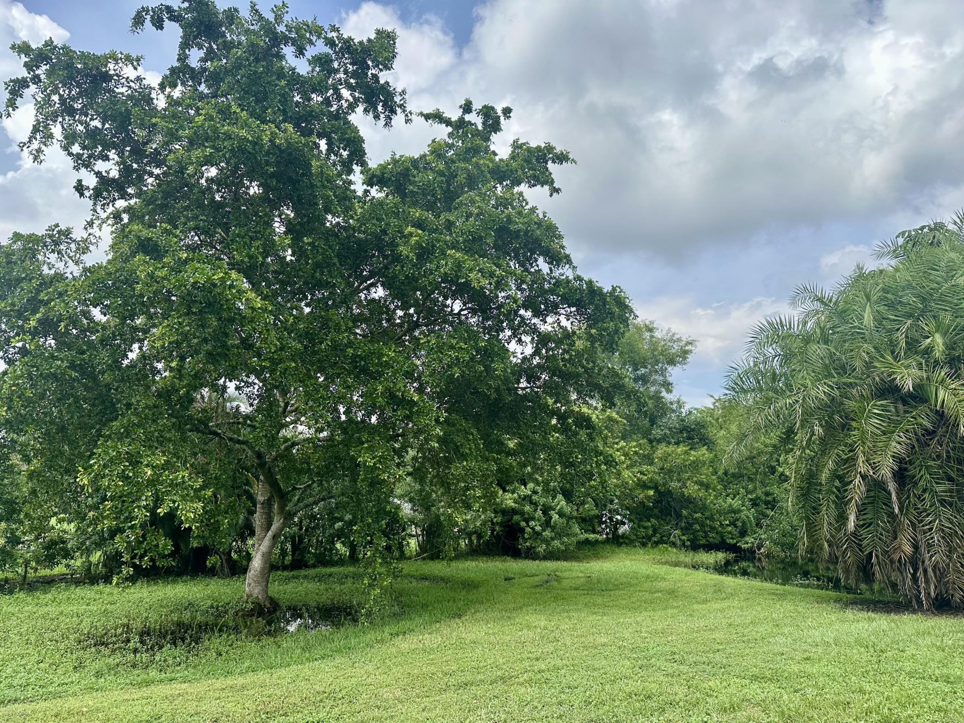13399 53rd Court N, The Acreage, FL 33411 Photo