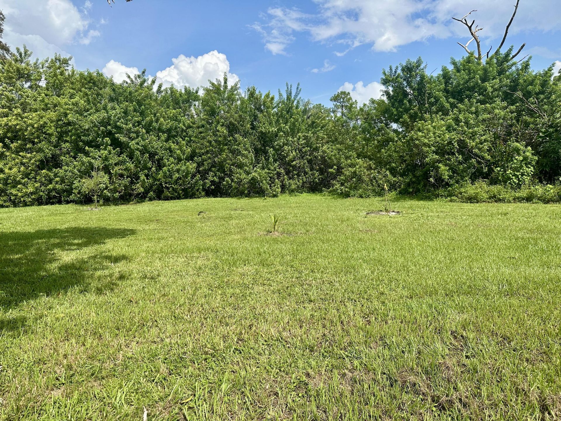 13399 53rd Court N, The Acreage, FL 33411 Photo