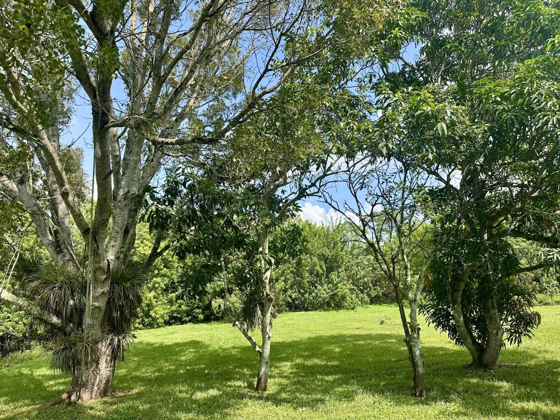 13399 53rd Court N, The Acreage, FL 33411 Photo