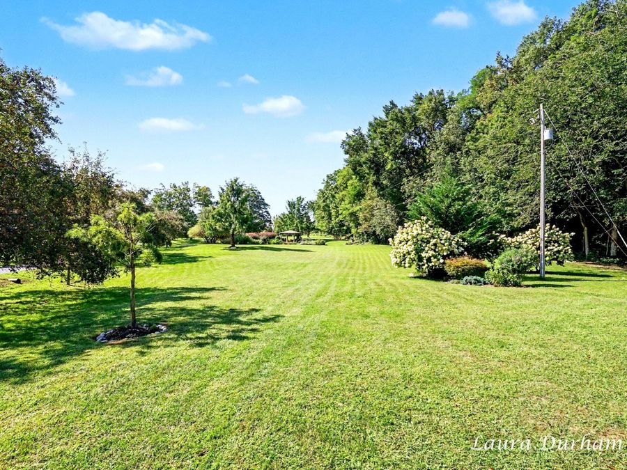 Property Image 65