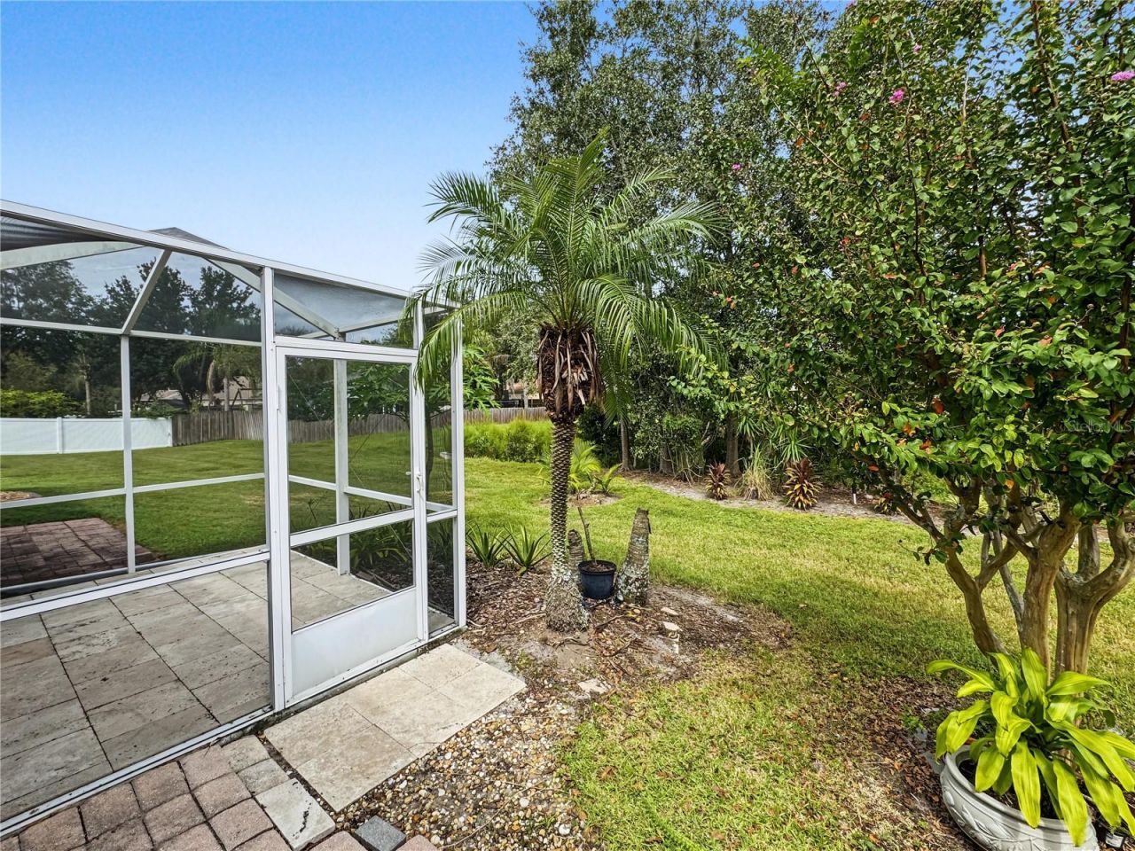 30935 Whitlock Drive, Wesley Chapel, FL 33543 Photo