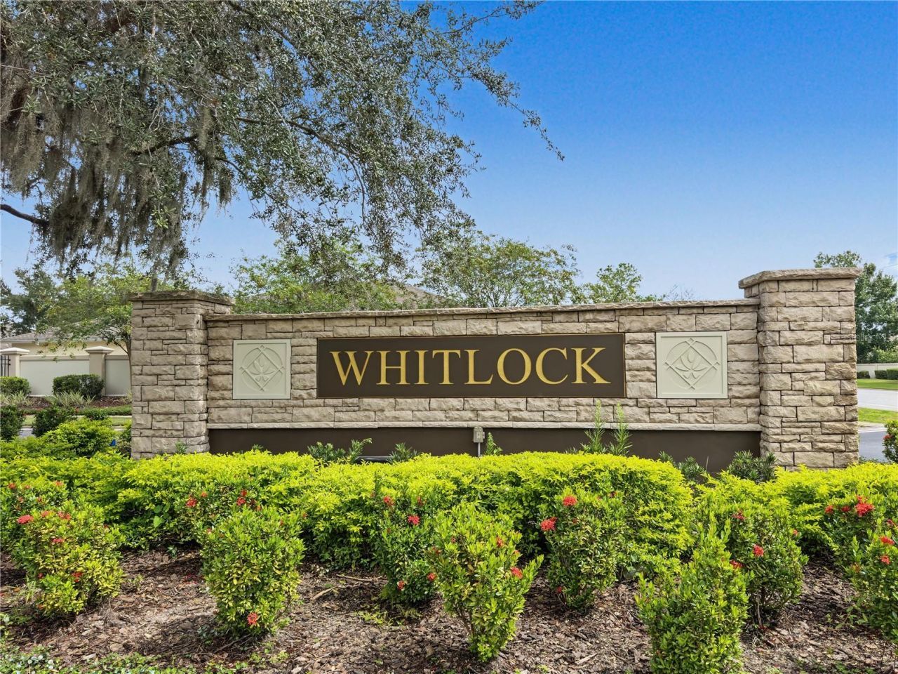30935 Whitlock Drive, Wesley Chapel, FL 33543 Photo