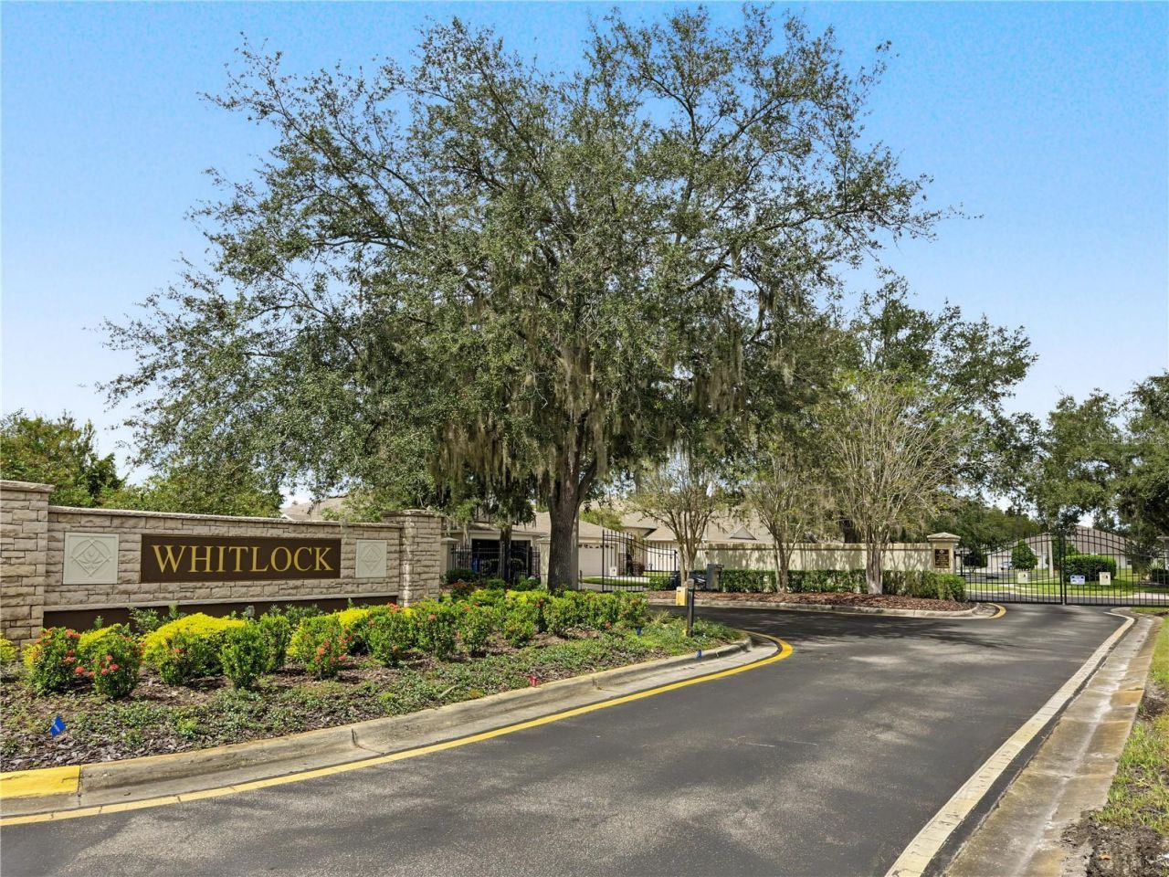 30935 Whitlock Drive, Wesley Chapel, FL 33543 Photo