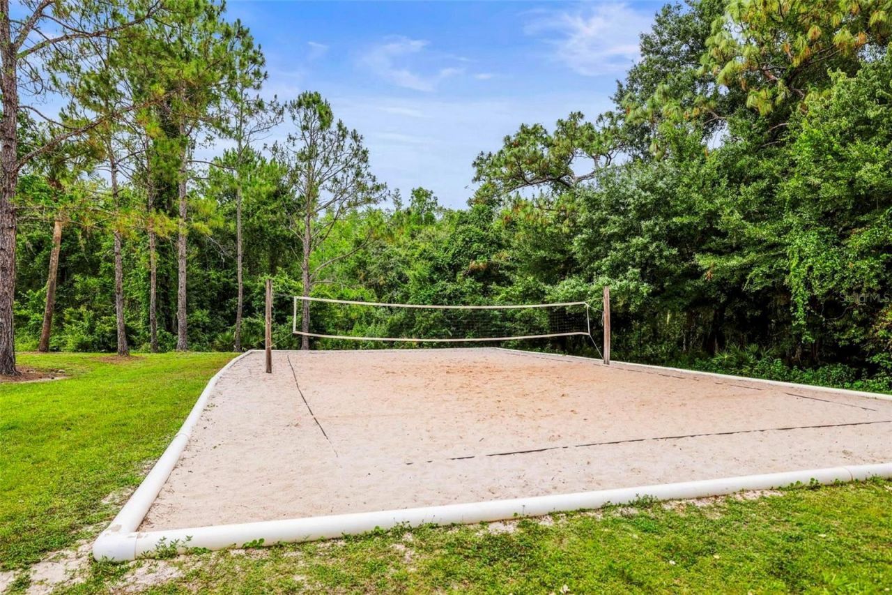 30935 Whitlock Drive, Wesley Chapel, FL 33543 Photo