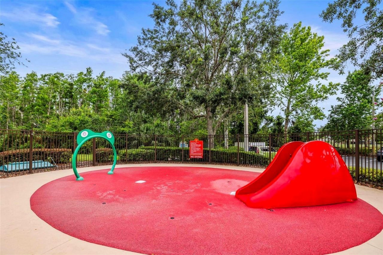 30935 Whitlock Drive, Wesley Chapel, FL 33543 Photo