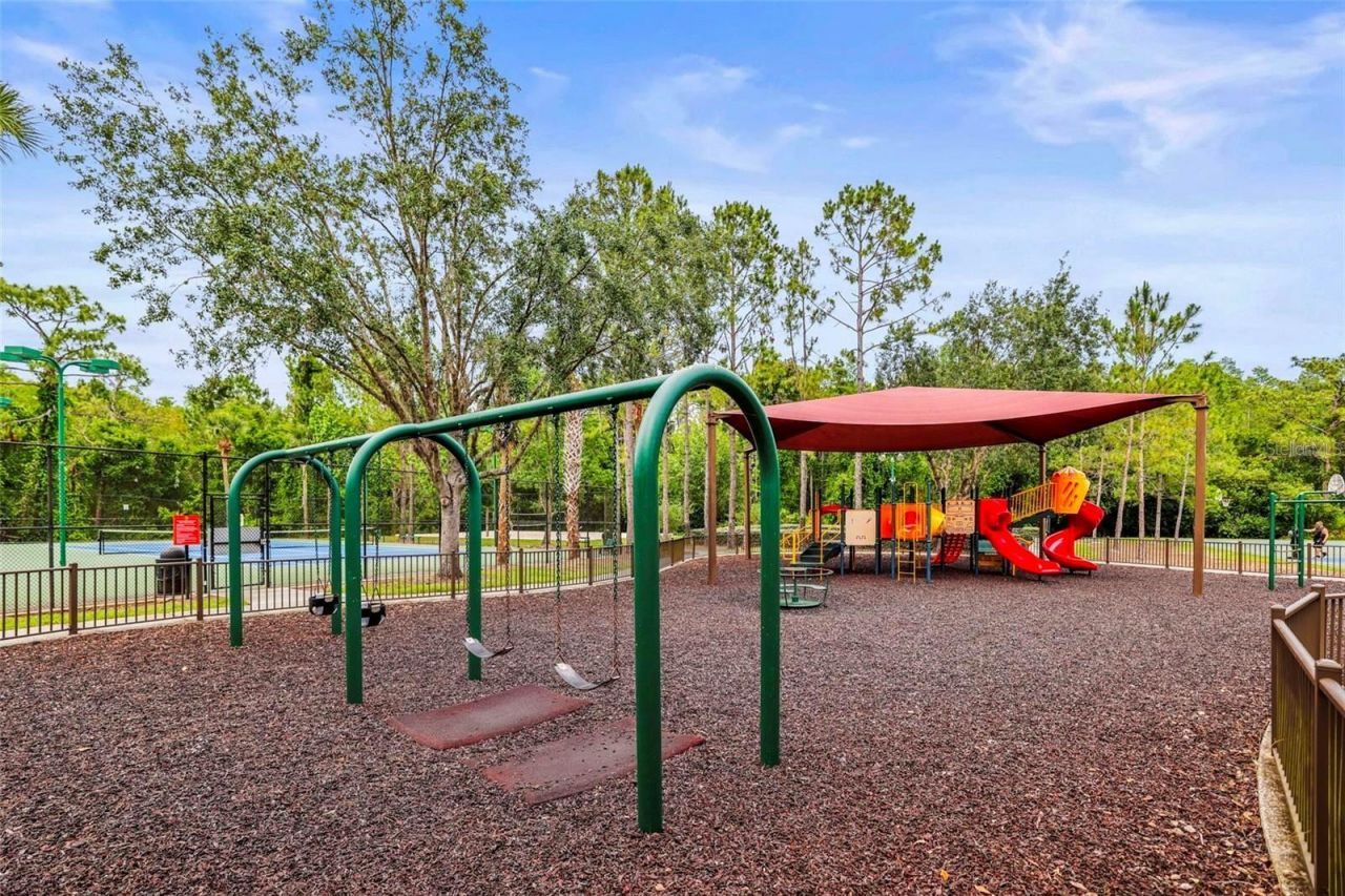 30935 Whitlock Drive, Wesley Chapel, FL 33543 Photo