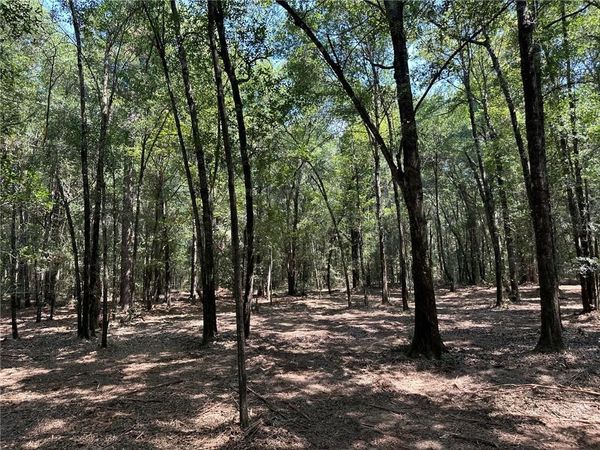 0 Danner Road , Wilmer, AL 36587