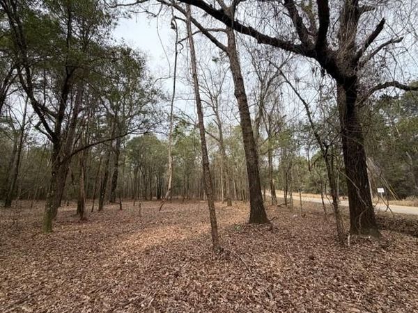 0 Danner Road , Wilmer, AL 36587