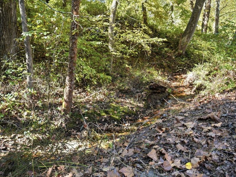 64185 Dunkle Creek Road, Unit 115 Acres, Creola, OH 45622 Photo 95