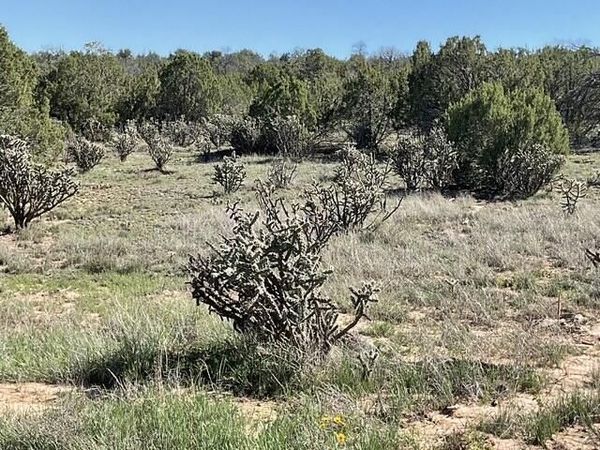 65 Las Colinas Road , Edgewood, NM 87015