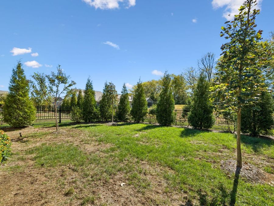 Property Image 50