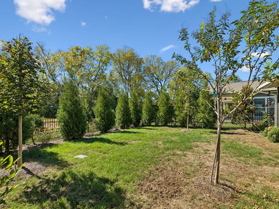 Property Image 53