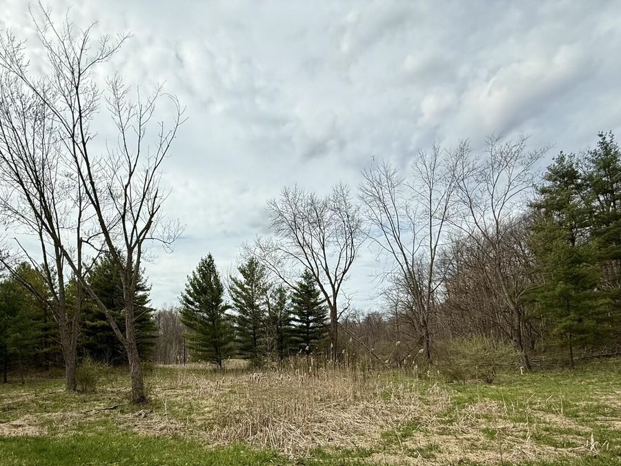 Property Image 52
