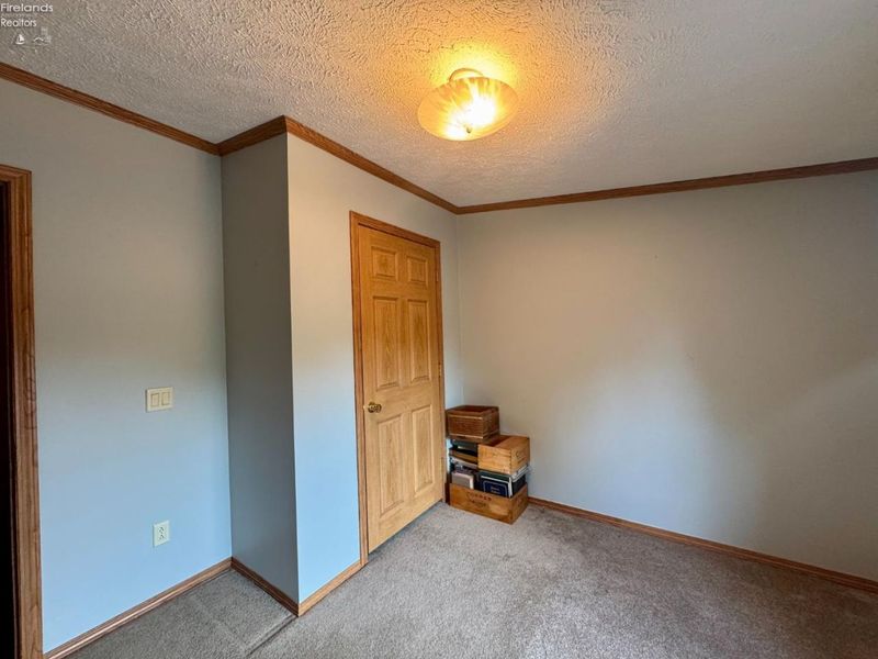 13807 State Route 61, Collins, OH 44826 Photo 51
