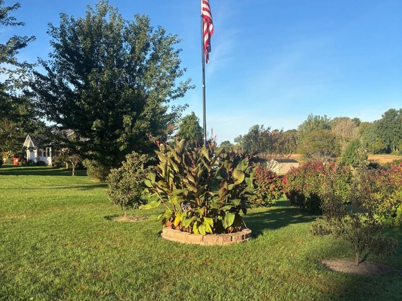 13807 State Route 61, Collins, OH 44826 Photo 7