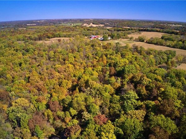 19904 Rattlesnake Road, Richmond, MO 64085