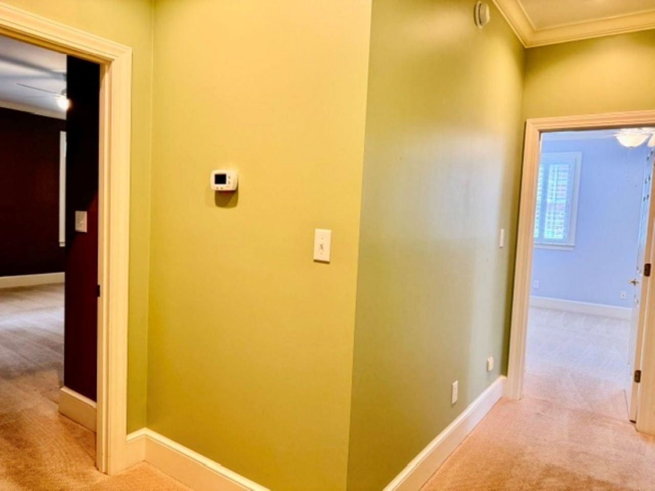 1313 Royal Devon Dr. Photo 55