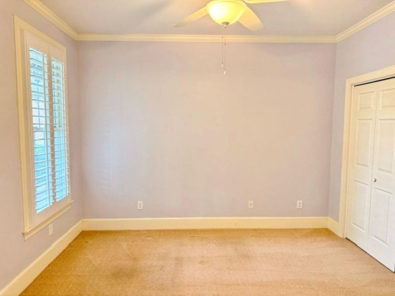 1313 Royal Devon Dr. Photo 61