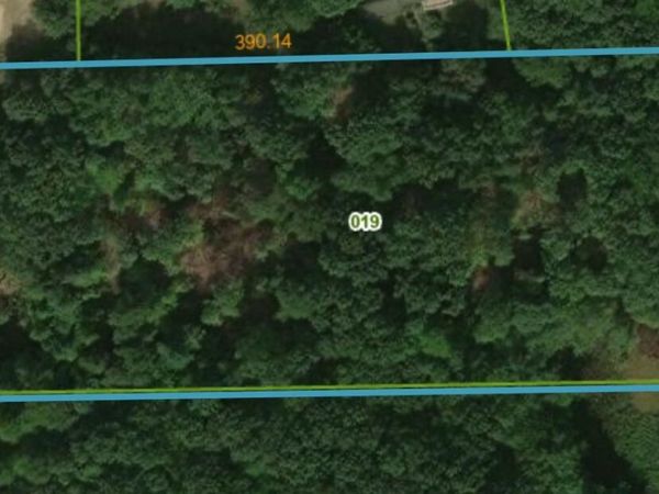 V/L 0 S Elder Avenue, Grant, MI 49327