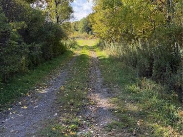 Hardknocks Road, Unadilla, NY 13849