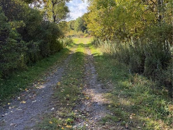 Hardnocks Rd , Unadilla, NY 13849