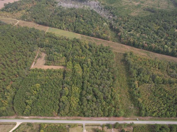 7+/- Acres Marion Church Rd., Salters, SC 29590