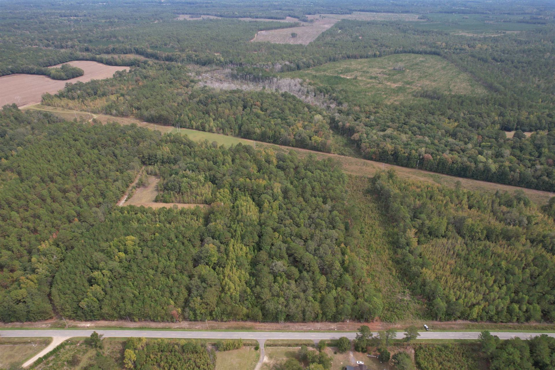 7+/- Acres Marion Church Rd. Photo 2