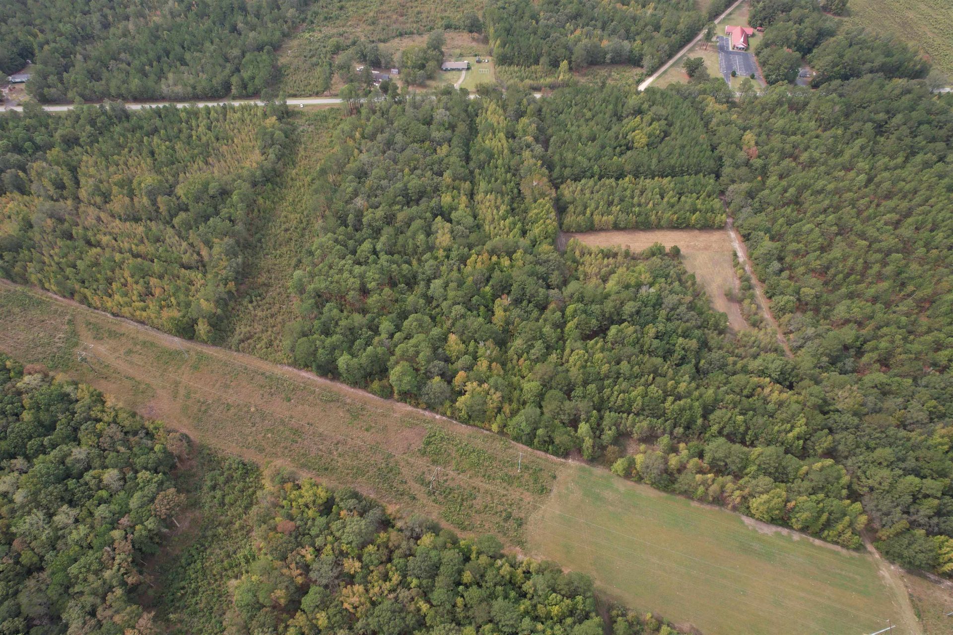 7+/- Acres Marion Church Rd. Photo 3