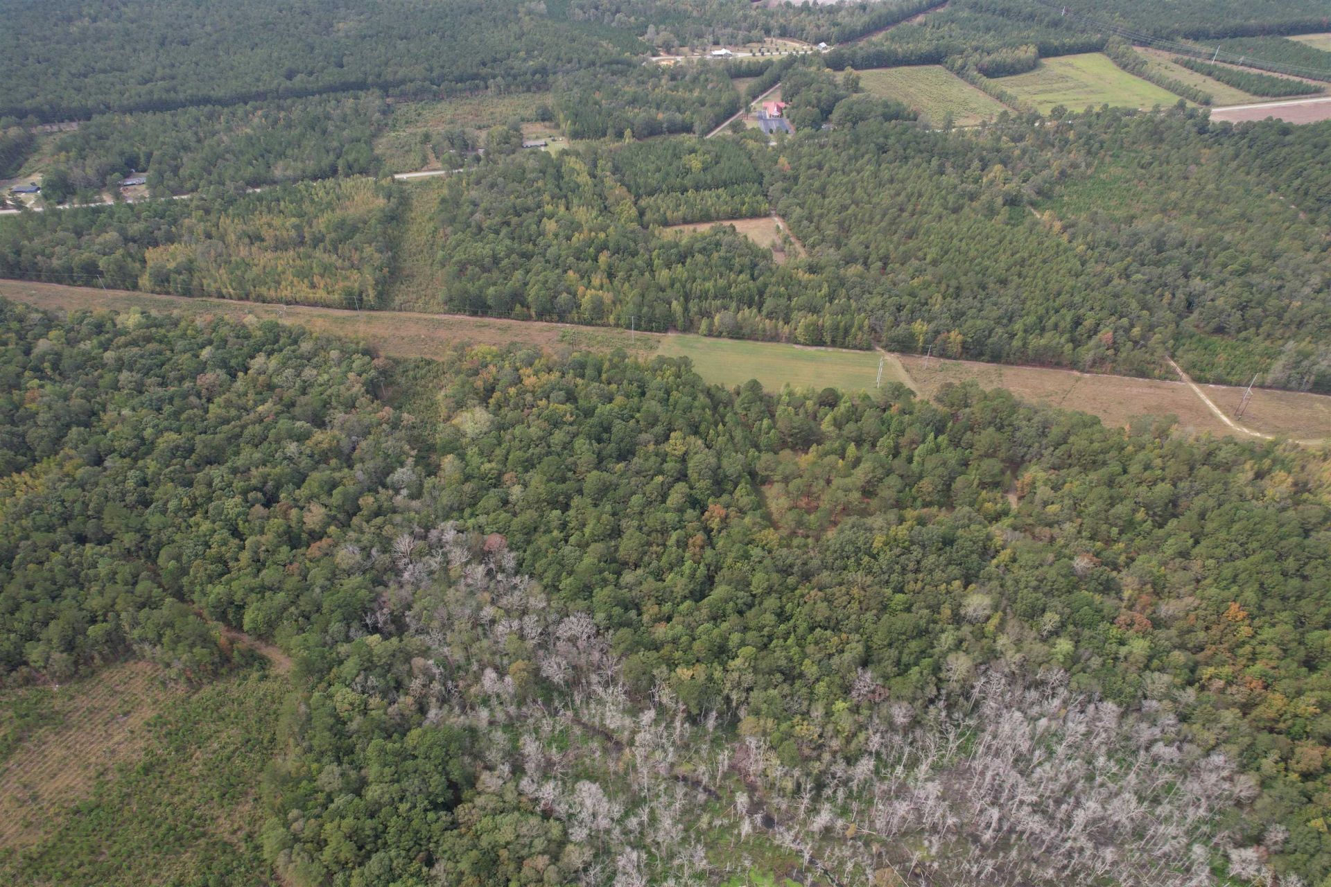 7+/- Acres Marion Church Rd. Photo 4