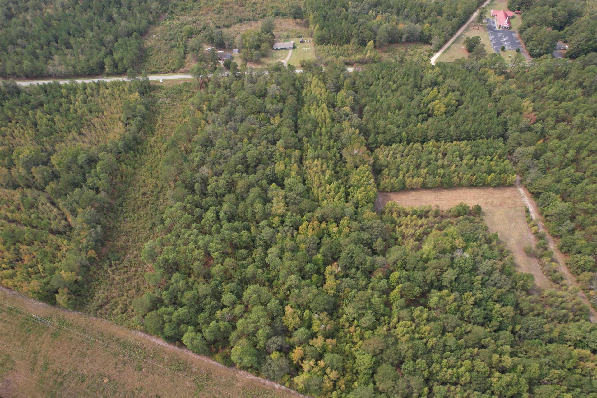 7+/- Acres Marion Church Rd. Photo 8