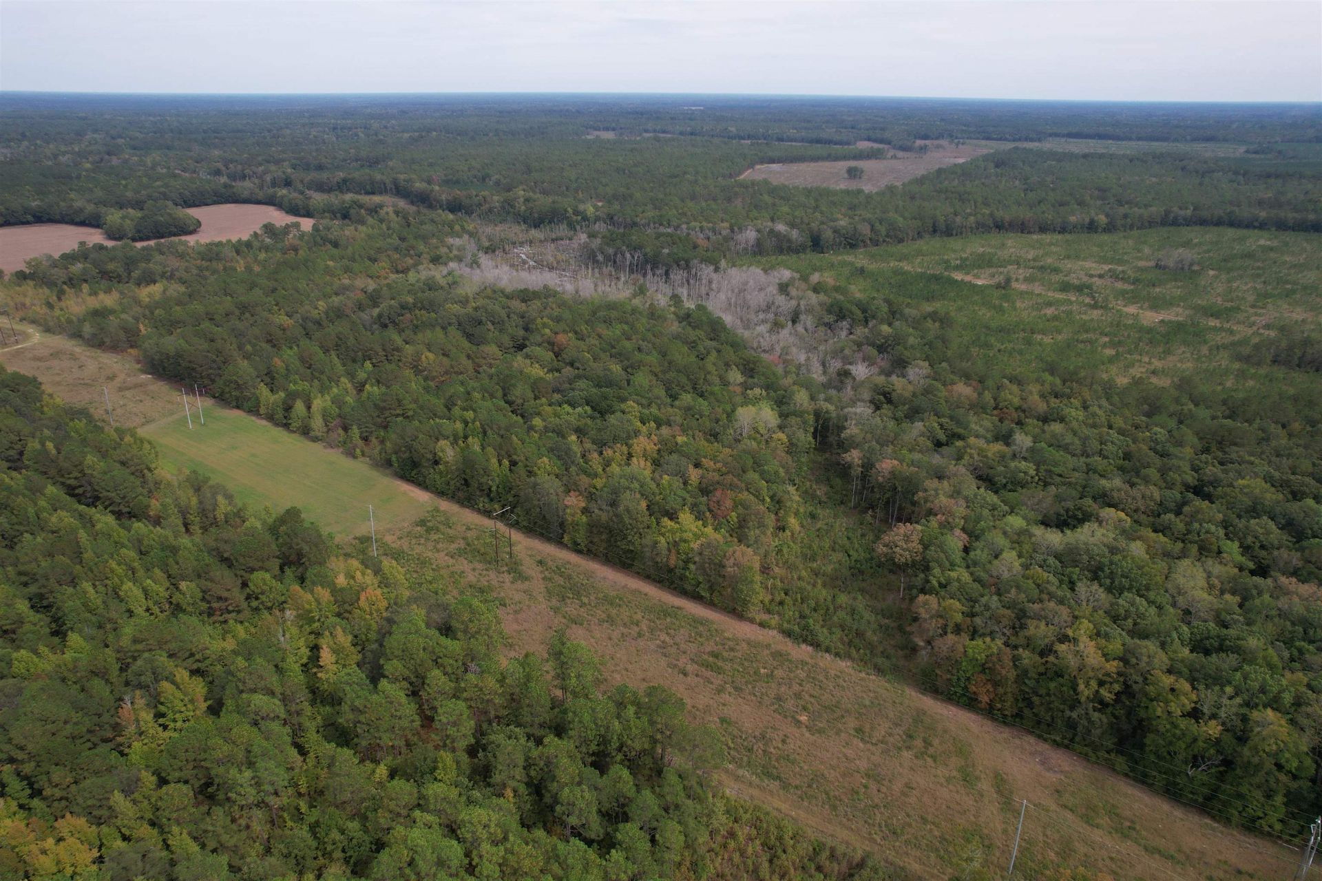 7+/- Acres Marion Church Rd. Photo 9