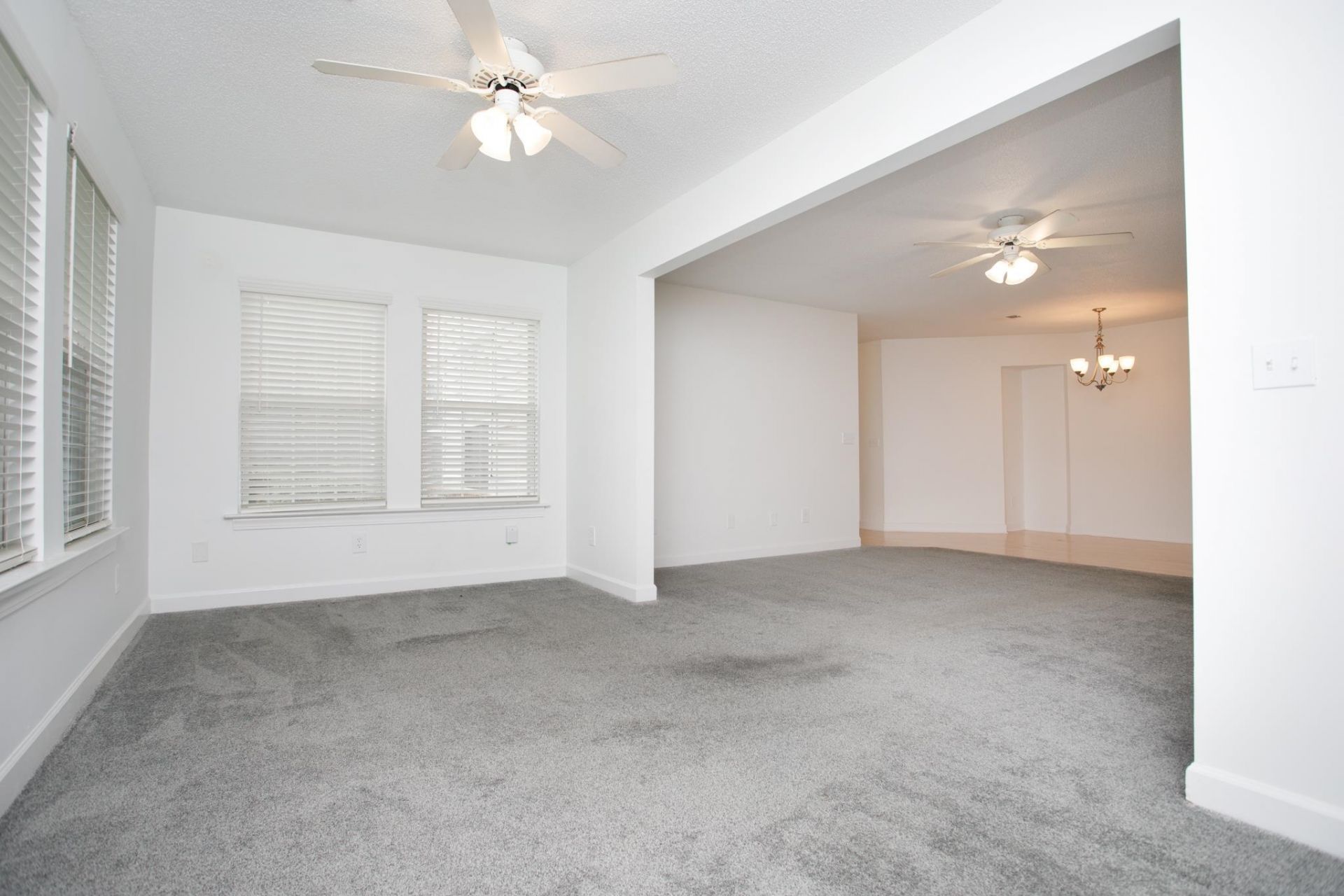 4384 Daphne Ln. Photo 6
