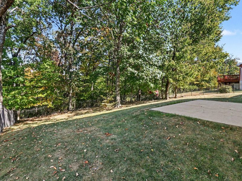 1894 Freedom Trail Drive, Independence, KY 41051 Photo 27