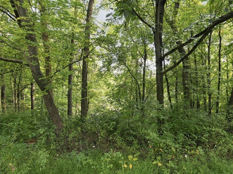 45582 Township Road 288, Conesville, OH 43811 Photo 43