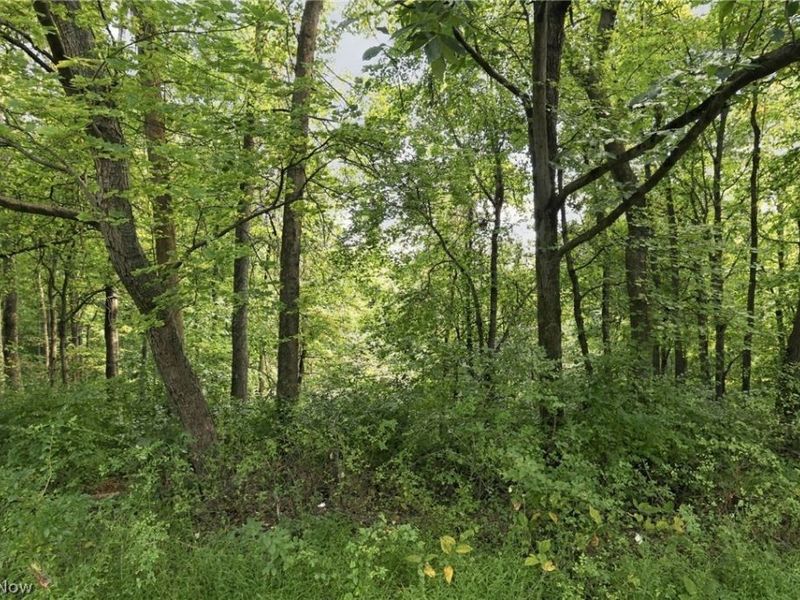 45582 Township Road 288, Conesville, OH 43811 Photo 33