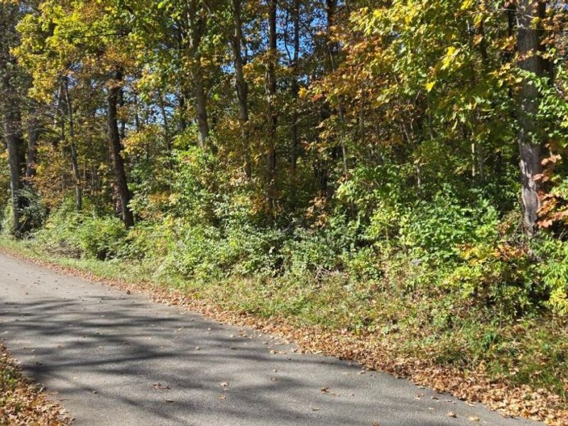 2299 St Rt 134, Sardinia, OH 45171 Photo 26