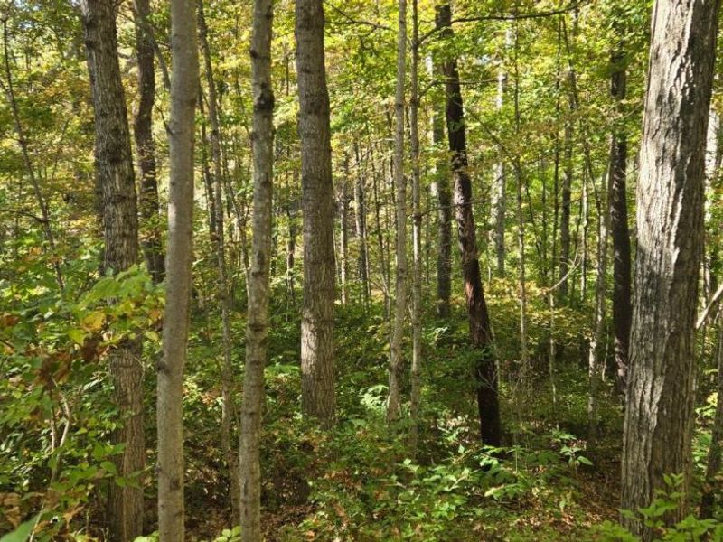 2299 St Rt 134, Sardinia, OH 45171 Photo 27