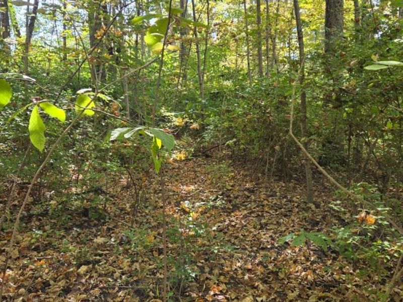 2299 St Rt 134, Sardinia, OH 45171 Photo 5