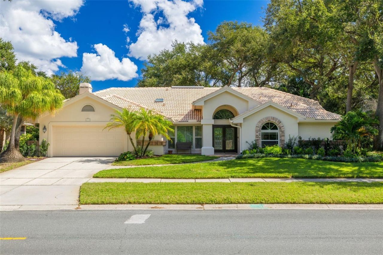2715 Country Woods Lane, Palm Harbor, FL 34683 Main Photo