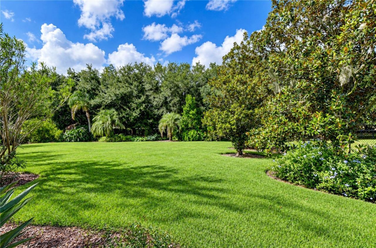 5513 Keeler Oak Street, Lithia, FL 33547 Photo
