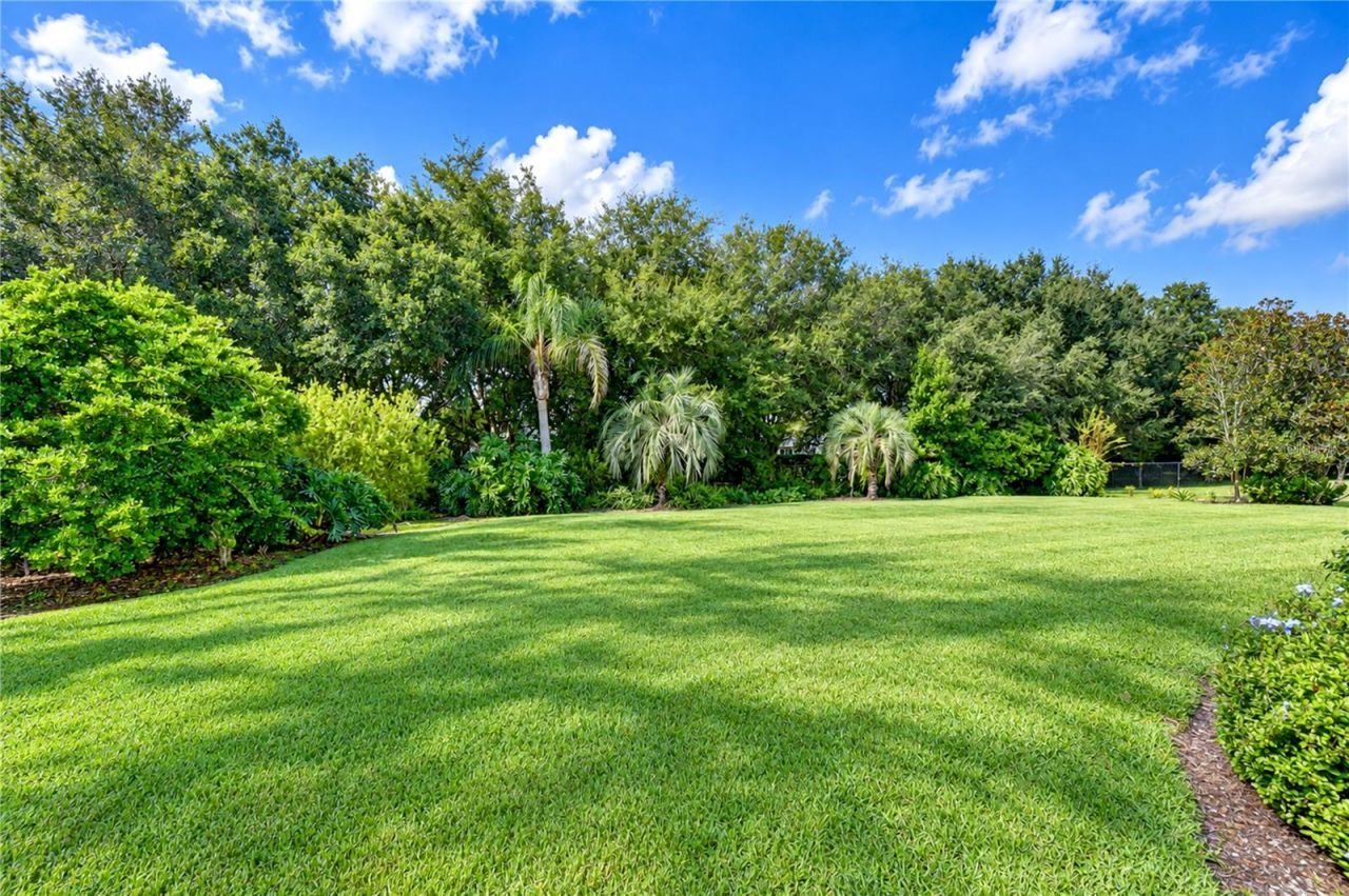 5513 Keeler Oak Street, Lithia, FL 33547 Photo